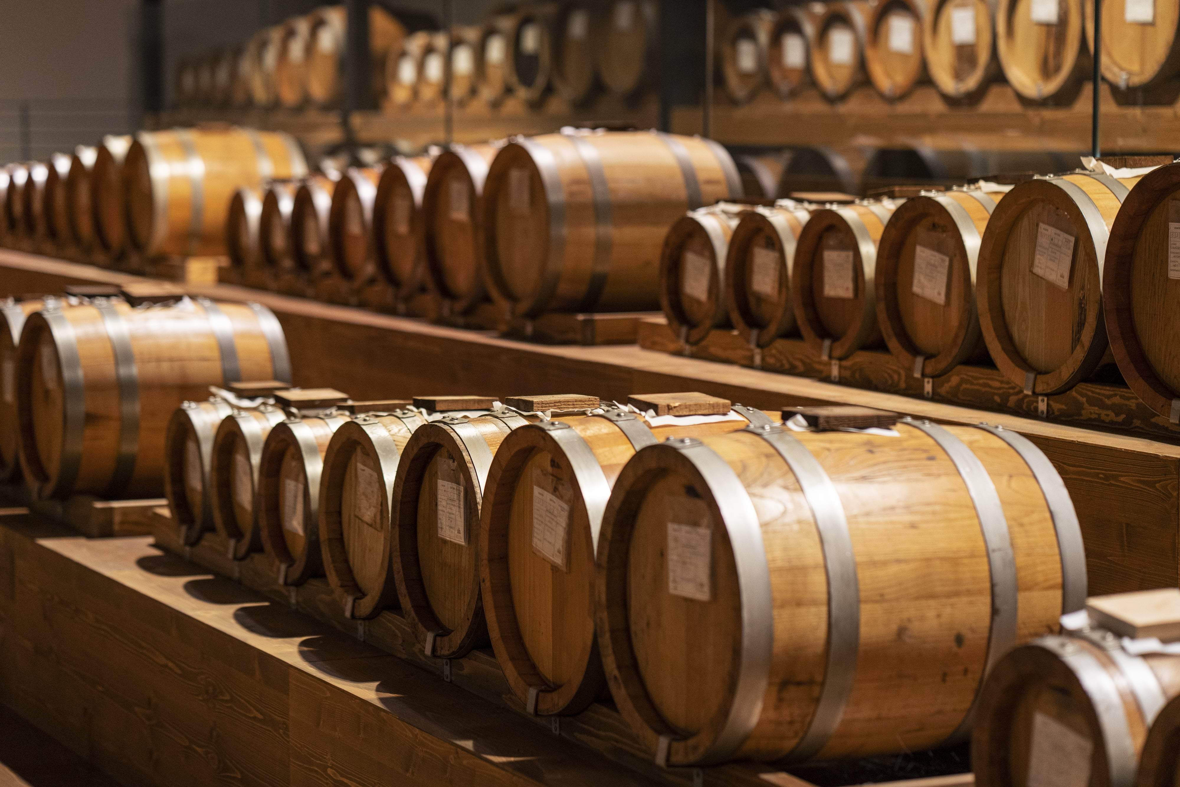 Interesting facts about Tradizionale Balsamic Vinegar of Modena